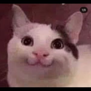 Meet your Posher, Jarrett